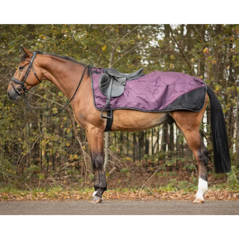 QHP Turnout Collection Fleece Lined Exercise Sheet - Mystical
